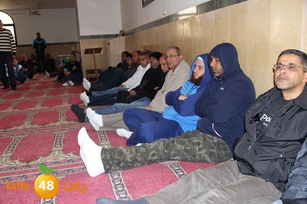 jarhoshuy msajed 0110 (72).JPG